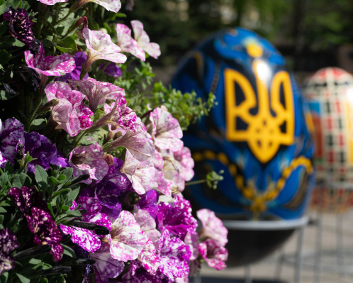 Bright floral plantations in Uzhhorod