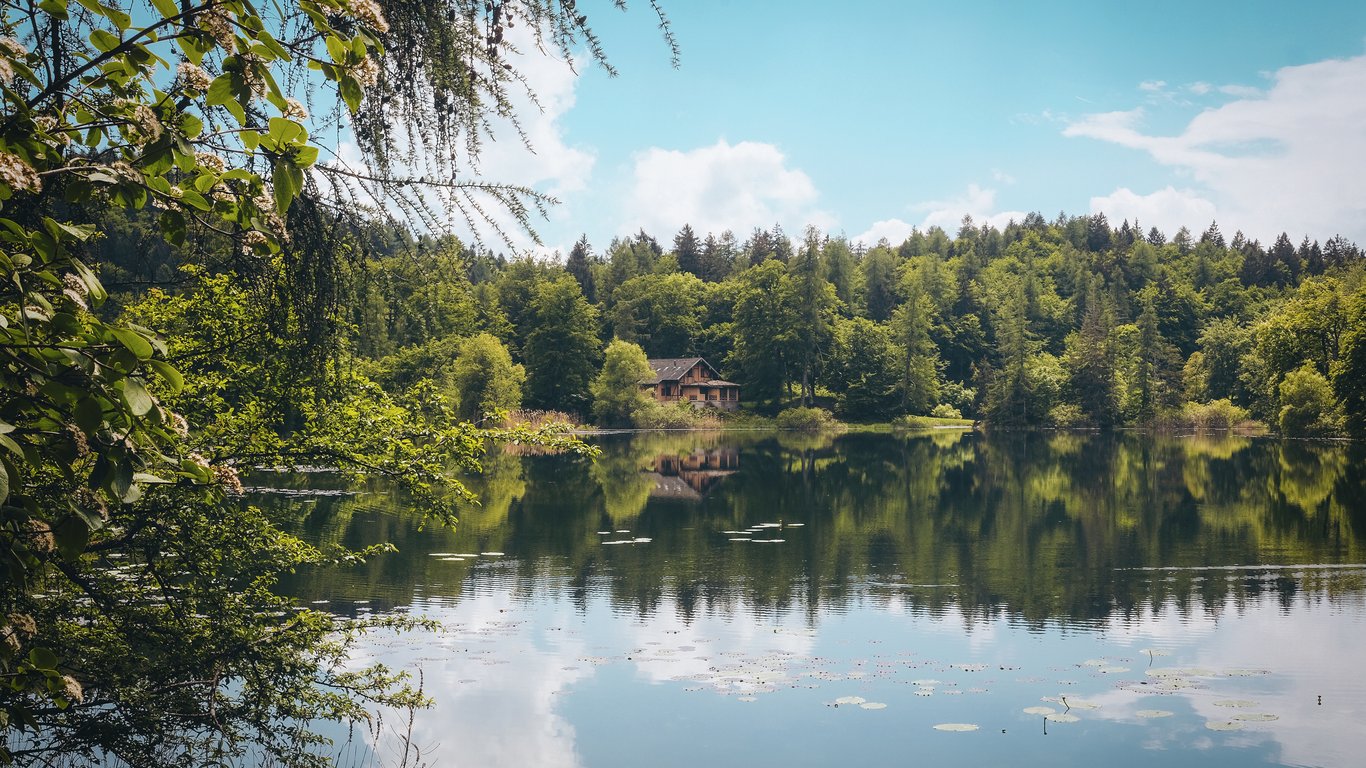 Alternativen zum Meer - Seen in Volyn, in denen man sich erfrischen kann