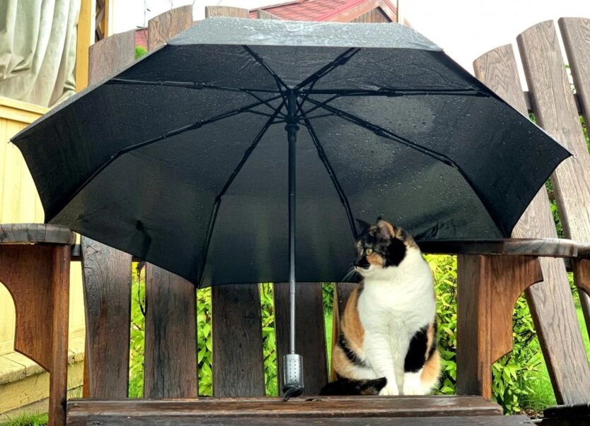 Der Regen lässt nicht nach, aber die Wärme ist bereits nah: Meteorologin Diehenko sagte, wann der Sommer in die Ukraine kommt